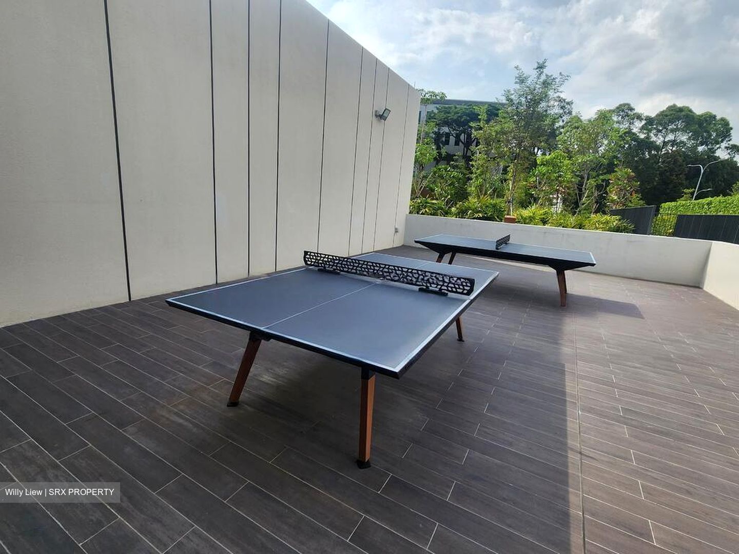 Normanton Park (D5), Apartment #417163381